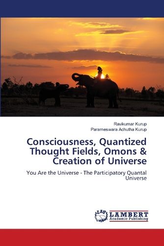 Cover image for Consciousness, Quantized Thought Fields, Omons & Creation of Universe