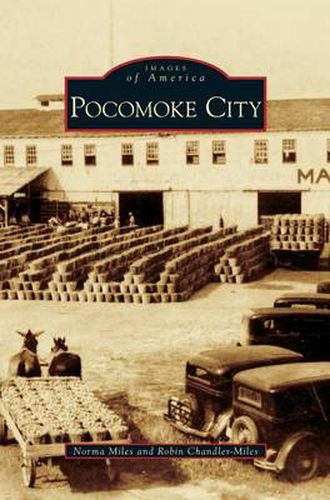 Cover image for Pocomoke City