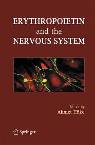 Cover image for Erythropoietin and the Nervous System