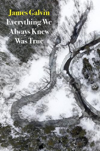 Cover image for Everything We Always Knew Was True