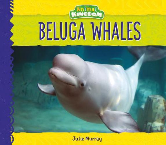 Cover image for Beluga Whales