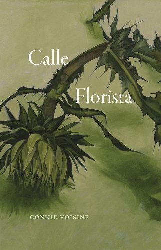 Cover image for Calle Florista