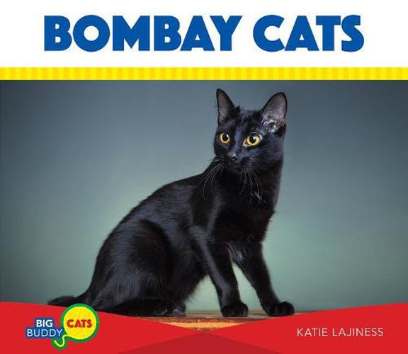 Bombay Cats