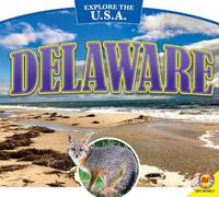 Cover image for Delaware