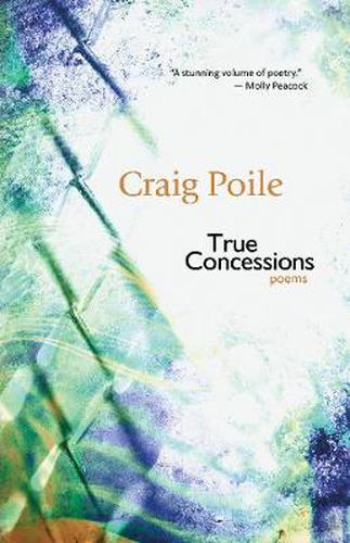 Cover image for True Concessions