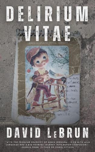 Cover image for Delirium Vitae