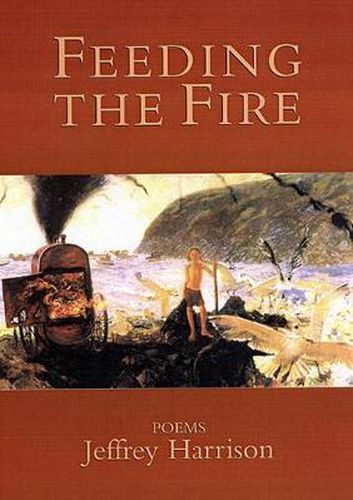 Cover image for Feeding the Fire: Poems