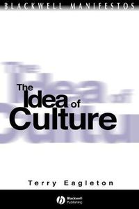 Cover image for The Idea of Culture
