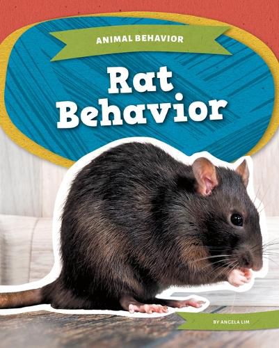 Cover image for Rat Behavior