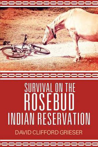Cover image for Survival on the Rosebud Indian Reservation