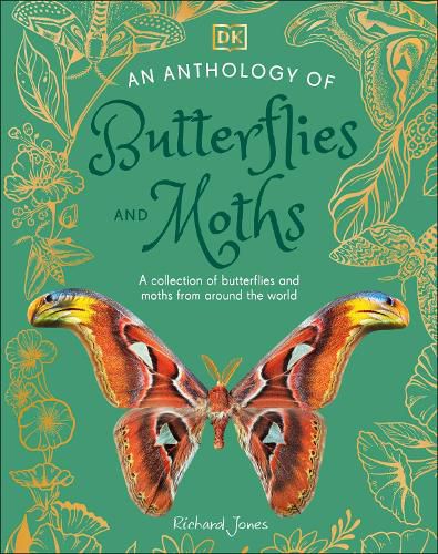 Cover image for An Anthology of Butterflies and Moths