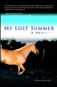 Cover image for My Lost Summer