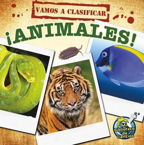 Cover image for Vamos a Clasificar Animales: Let's Classify Animals
