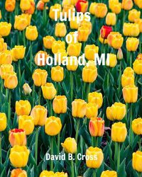 Cover image for Tulips of Holland, MI