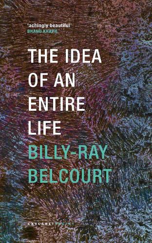 Cover image for The Idea of an Entire Life