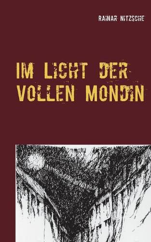 Cover image for Im Licht der Vollen Mondin: Fantastisch-magische Geschichten. Ruf der Mondin 2.