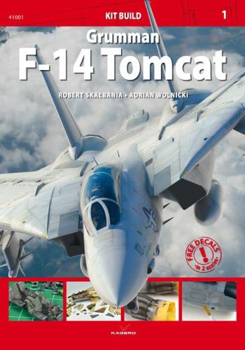 Cover image for Grumman F-14 Tomcat