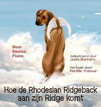 Cover image for Hoe de Rhodesian Ridgeback aan zijn Ridge komt