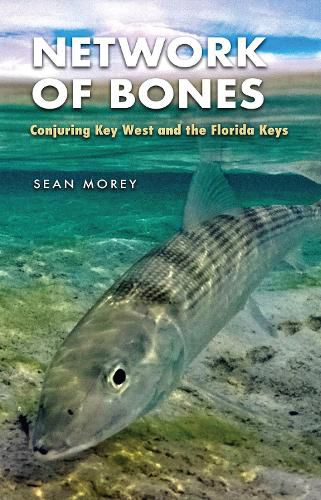 Cover image for Network of Bones: Conjuring Key West and the Florida Keys