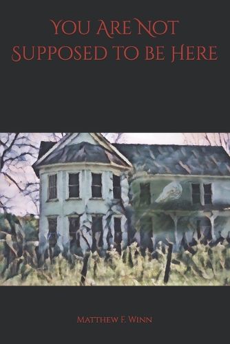 Cover image for You Are Not Supposed to be Here