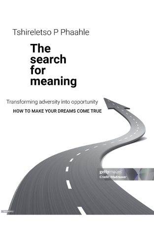 Cover image for The search for meaning