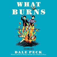 Cover image for What Burns