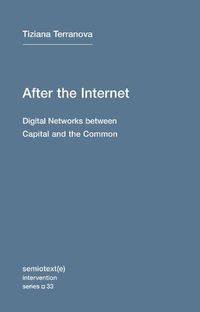 Cover image for After the Internet: Digital Networks between the Capital and the Common