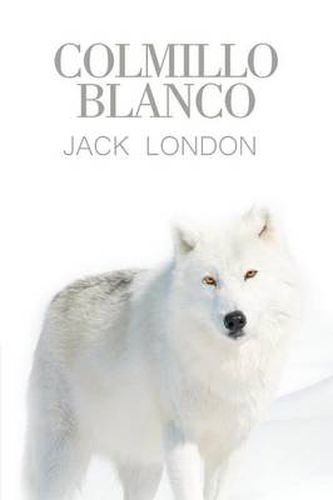 Cover image for Colmillo Blanco