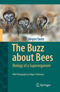 Cover image for The Buzz about Bees: Biology of a Superorganism