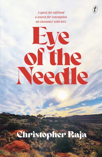 Cover image for Eye of the Needle