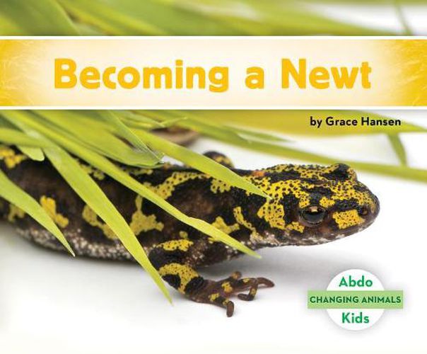 Cover image for Becoming a Newt