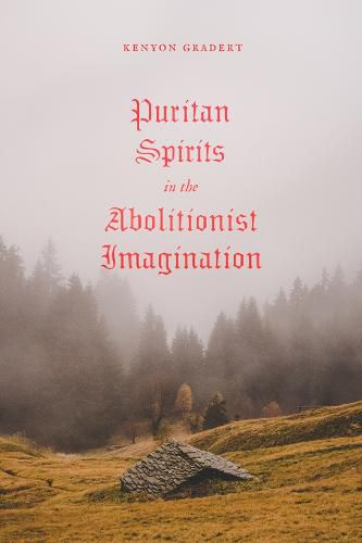 Cover image for Puritan Spirits in the Abolitionist Imagination