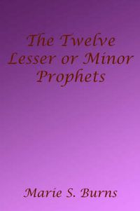 Cover image for The Twelve Lesser or Minor Prophets