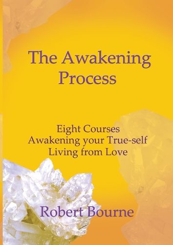 Cover image for The Awakening Process