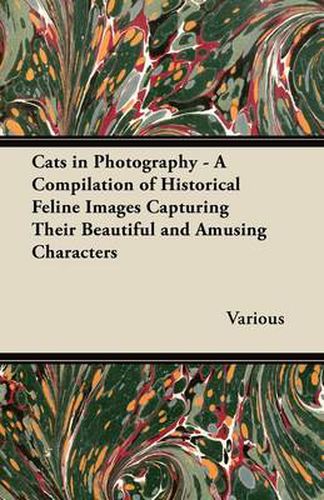 Cover image for Cats in Photography - A Compilation of Historical Feline Images Capturing Their Beautiful and Amusing Characters