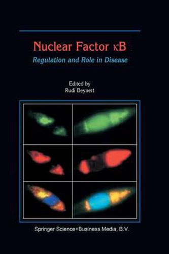 Cover image for Nuclear Factor  B: Regulation and Role in Disease