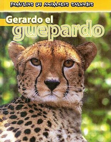 Cover image for Gerardo el Guepardo