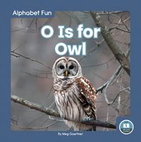 Cover image for Alphabet Fun: O is for Owl