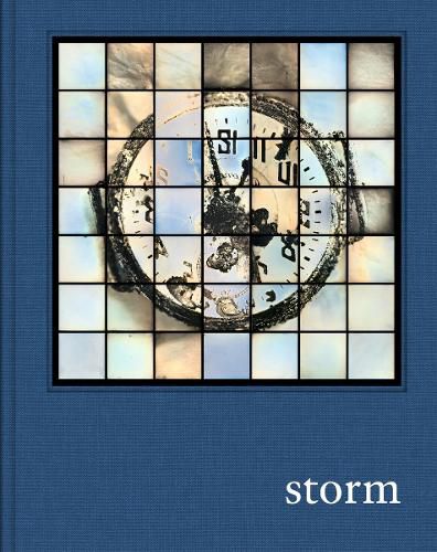 Cover image for Prix Pictet: Storm