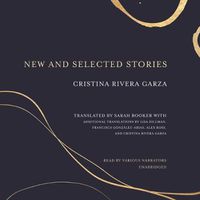 Cover image for New and Selected Stories