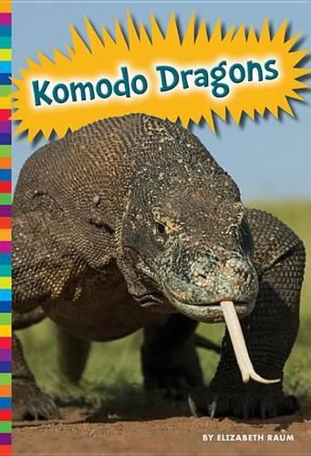 Cover image for Komodo Dragons