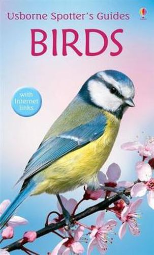 Cover image for Birds