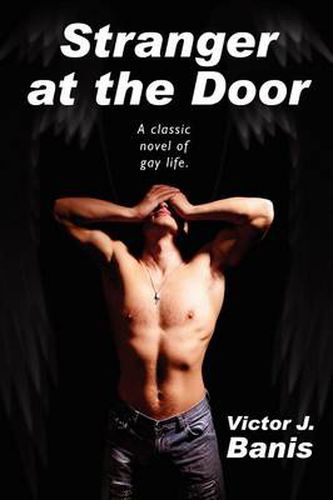 Cover image for Stranger at the Door: A Novel of Suspense