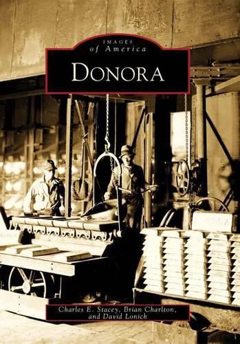 Cover image for Donora