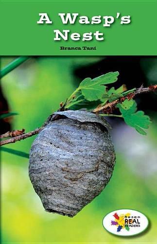 Cover image for A Wasp's Nest