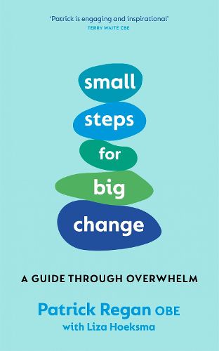Cover image for Small Steps for Big Change