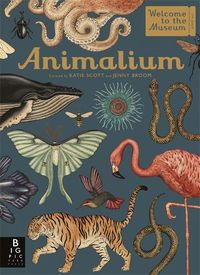 Cover image for Animalium