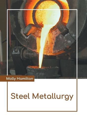 Cover image for Steel Metallurgy