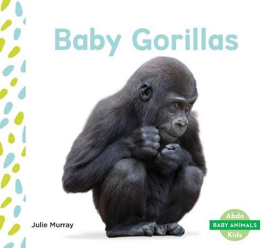 Cover image for Baby Gorillas