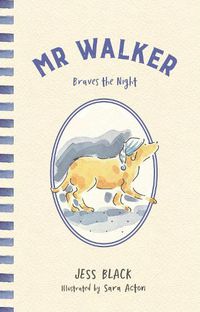 Cover image for Mr Walker Braves the Night